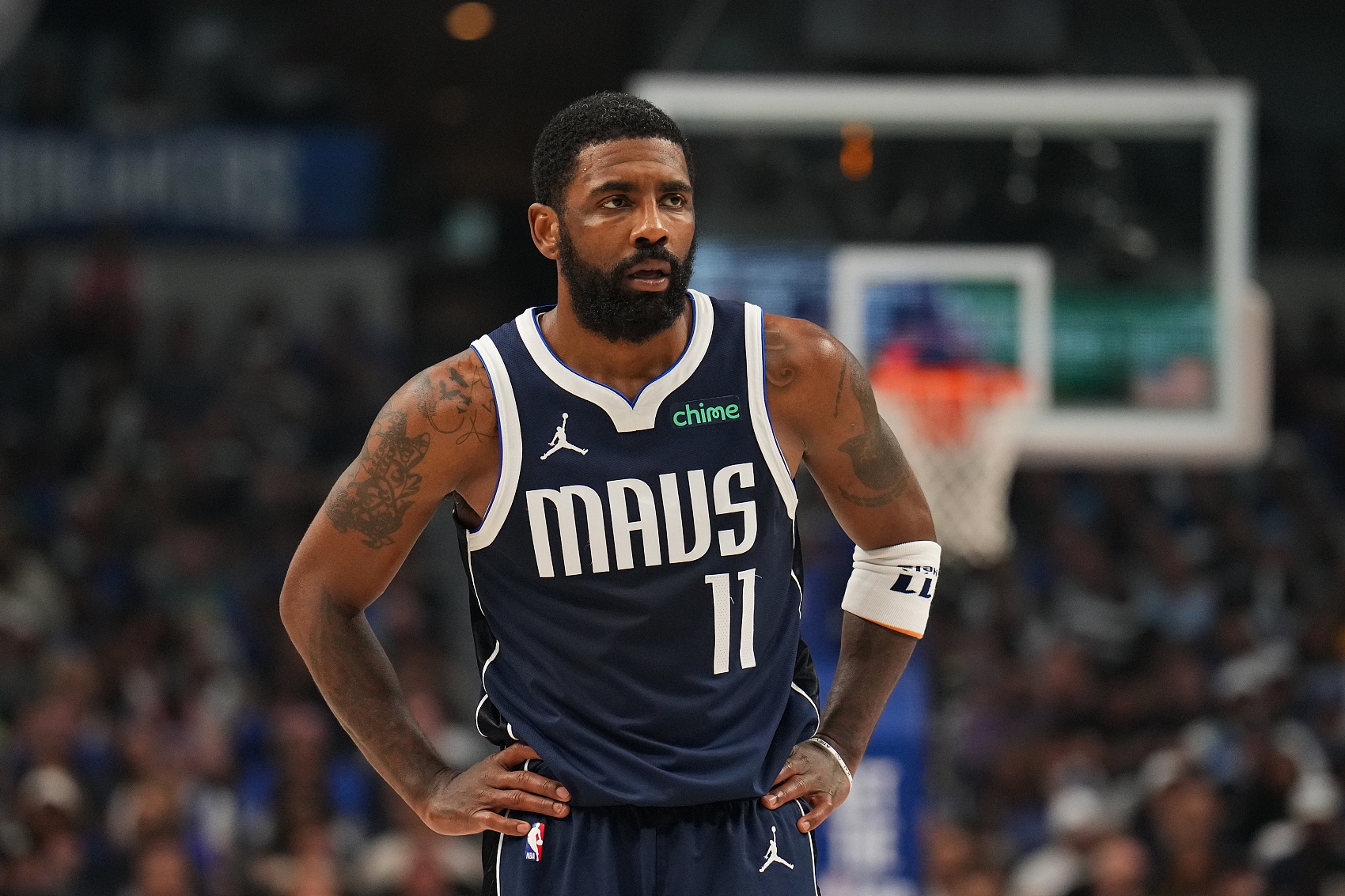 一种在巨大 一种在巨大