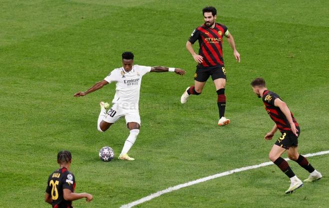 其优美的自 其优美的自