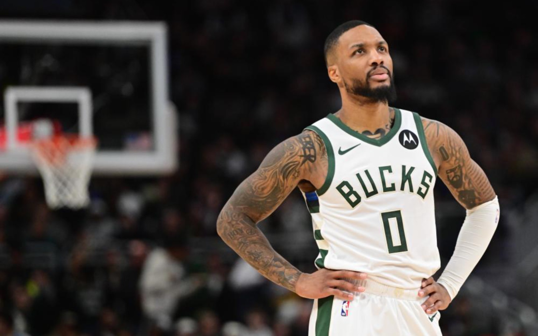 这不仅体现 这不仅体现